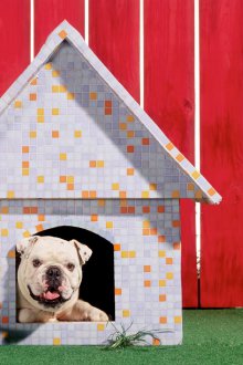 Διακόσμηση κουτιού σκυλιών