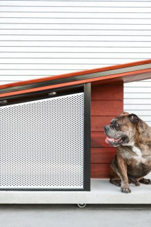 Κινητό κιβώτιο σκυλιών