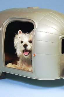 Πλαστικό κουτί σκυλιών