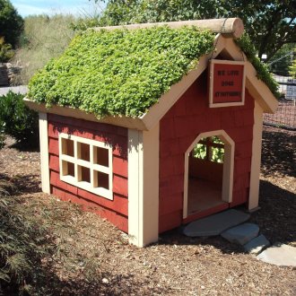 Doghouse με φυτά