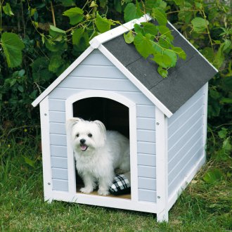 Κουτί σκυλιών πλαισίου