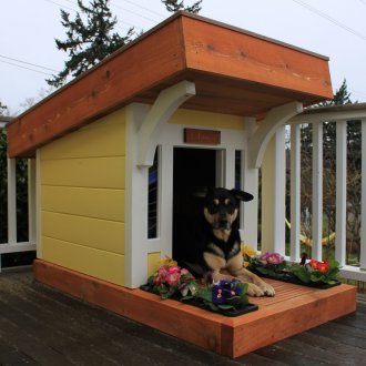 Κουτί για σκύλους με βεράντα