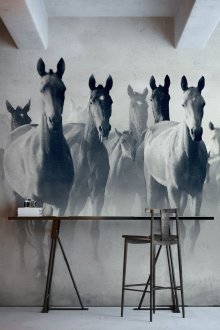 Σχεδιάζοντας άλογα στον τοίχο