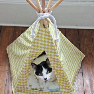 Wigwam Cat House