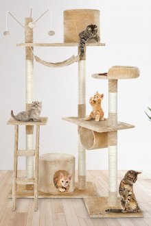 Αιώρα αιλουροειδών με γρασίδι