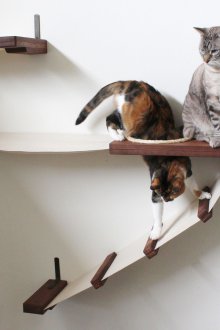 Αιώρα με σκάλες