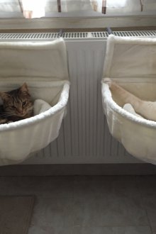 Χαλάρωση χαλάκι για γάτα