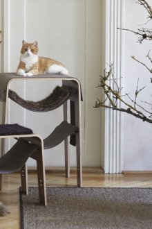 Αιώρα για γάτα μοντέρνα