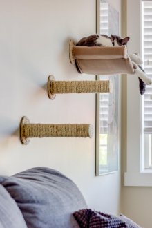 Επίτοιχη αιώρα