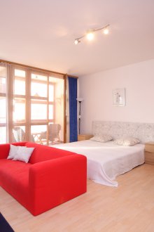 Επιπλωμένο διαμέρισμα στούντιο με απλό σχεδιασμό