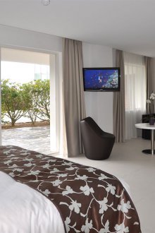 Συνδυασμένο σαλόνι και υπνοδωμάτιο στο σπίτι