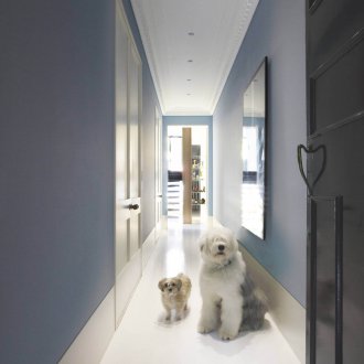 Διακόσμηση διάδρομο με μπλε χρώματος αν ο σκύλος βρίσκεται στο διαμέρισμα