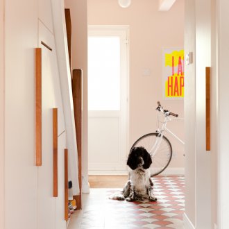 Διακοσμητικό διάδρομο για ένα σκύλο