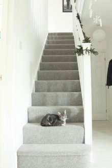 Διακόσμηση διάδρομου με χαλί για γάτα