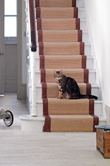 Κάνοντας το διάδρομο ένα χαλί αν υπάρχει μια γάτα στο σπίτι