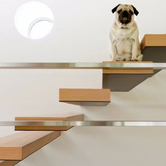 Ο σχεδιασμός των σκαλοπατιών αν ο σκύλος είναι στο σπίτι