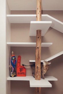 Ο σχεδιασμός του διαδρόμου με μια γάτα