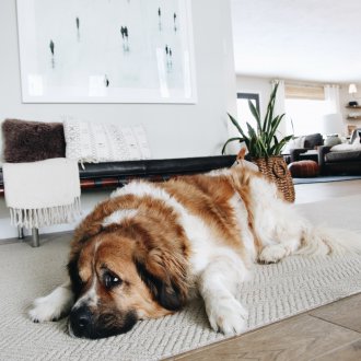 Επισκευή διαδρόμου σε σκανδιναβικό στιλ