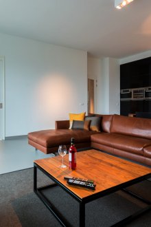 Σχεδιασμός διαμερίσματος ενός δωματίου με δερμάτινο καναπέ