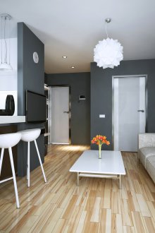 Σχεδιασμός γκρι διαμέρισμα ενός δωματίου