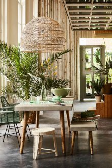 Δέντρο στο οικολογικό εσωτερικό