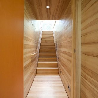 Δέντρο στο εσωτερικό του διαδρόμου