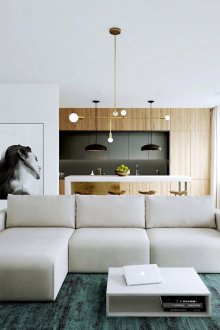 Ξύλο στο εσωτερικό με έπιπλα