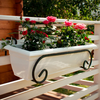 Πλαστική στάση λευκό λουλουδιών