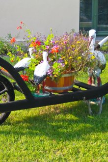 Ανθρακούχο λουλουδιών