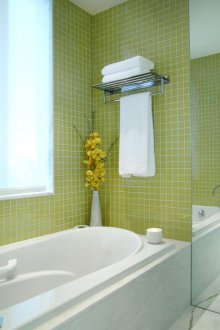 Πράσινο μοντέρνο μπάνιο