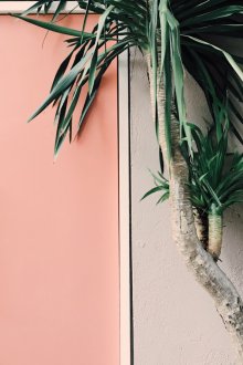 Πόρτα χρώματος ροδάκινου