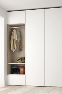 Art Nouveau svingskap