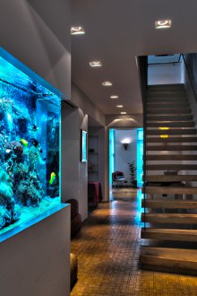 Διακόσμηση για ένα μεγάλο ενυδρείο