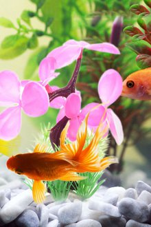 Διακόσμηση για λουλούδια ενυδρείων