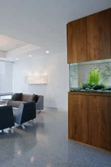 Διακόσμηση για το ενυδρείο στο σαλόνι