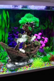 Διακόσμηση για το σπήλαιο ενυδρείων με τη μορφή ενός πλοίου