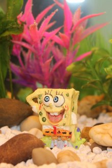 Διακόσμηση για το σφουγγαράκι ενυδρείου