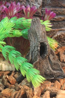 Τεχνητό ντεκόρ ενυδρείου