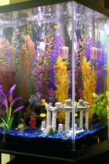 Ενυδρείο με στήλες