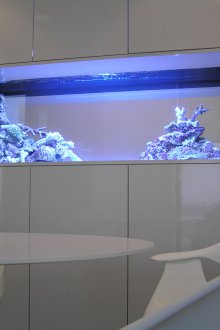 Διακόσμηση για ενυδρείο με κοράλλια