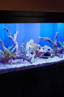 Διακόσμηση για ενυδρείο παρασυρόμενων ξύλων