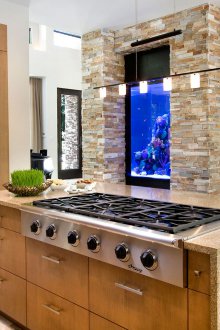 Διακόσμηση για ένα ενυδρείο στην κουζίνα