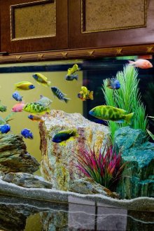 Δερμάτινο ντεκόρ χαλαζία