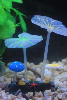 Διακόσμηση για πλαστικό ενυδρείου