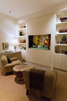 Διακόσμηση για ενυδρείο με ψάρι