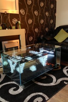 Διακόσμηση για τραπέζι ενυδρείου