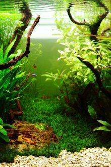 DIY akvarium stort