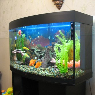 DIY akvárium čierne