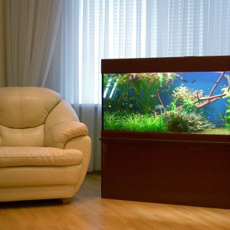 Κάνετε το δικό σας κλασικό ενυδρείο