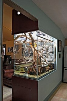 DIY ενυδρείο με δέντρο